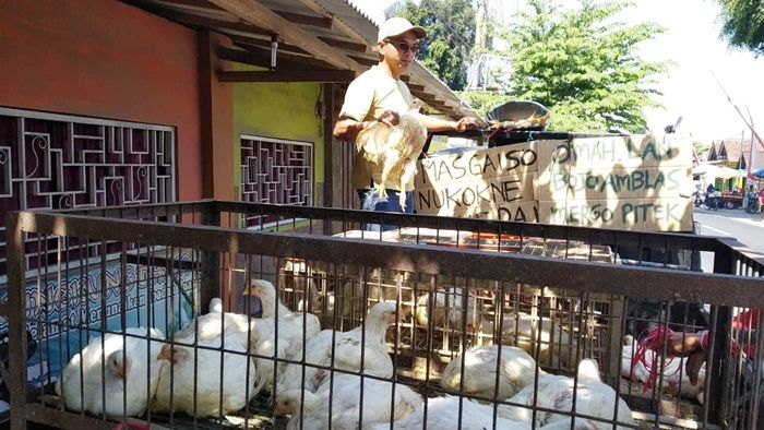 ​Peternak di Blitar Obral Ayam Broiler Rp 10 Ribu per Kilo