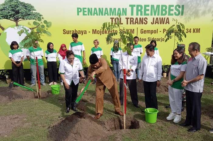 Hijaukan Tol Trans Jawa, Djarum Foundation Tanam 8.400 Trembesi di Ruas Jatim