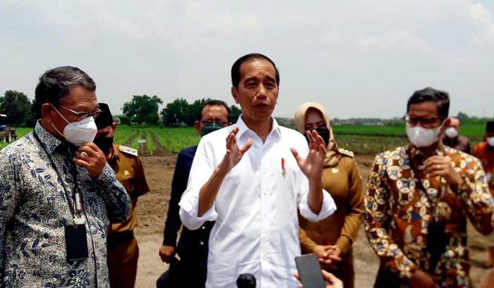 Kunker ke Jawa Timur, Jokowi Tinjau Lahan Tebu di Mojokerto