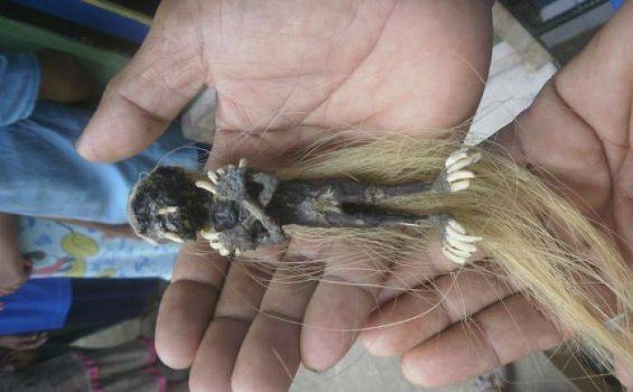 Setelah di Ngawi, Kali Ini Jenglot Ditemukan di Pangandaran Setelah di Ngawi, Kali Ini Jenglot Ditemukan di Pangandaran