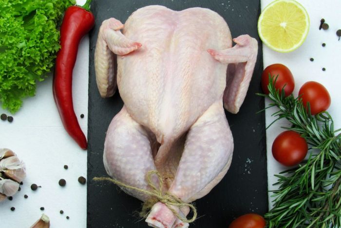 Kenali Manfaat Brutu Ayam untuk Kesehatan Tubuh Kenali Manfaat Brutu Ayam untuk Kesehatan Tubuh