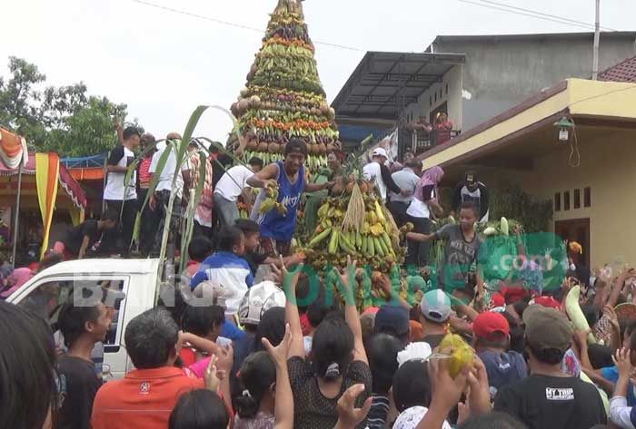 Ratusan Warga Saling Dorong Dapatkan Sayuran dan Buah Saat Acara Sedekah Desa Miagan Ratusan Warga Saling Dorong Dapatkan Sayuran dan Buah Saat Acara Sedekah Desa Miagan