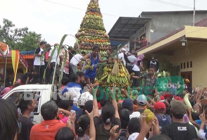 Ratusan Warga Saling Dorong Dapatkan Sayuran dan Buah Saat Acara Sedekah Desa Miagan