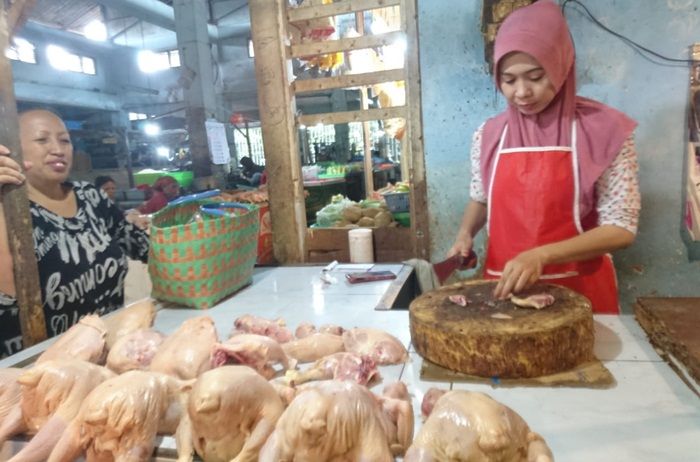 Stok Aman, ​Harga Daging Ayam di Jember Jelang Lebaran Melonjak Naik