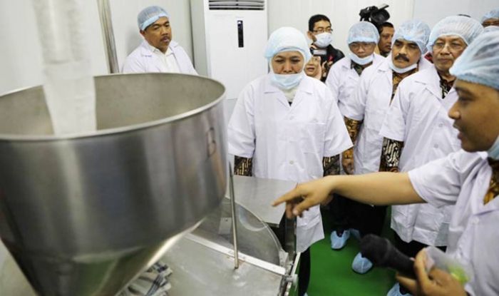 Gubernur Khofifah Resmikan Industri Cangkang Kapsul Berbasis Rumput Laut di Unair Gubernur Khofifah Resmikan Industri Cangkang Kapsul Berbasis Rumput Laut di Unair