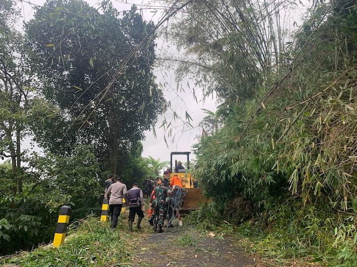 Akhir November, Hujan Deras Akibatkan Pohon Tumbang dan Tanah Longsor Landa Kota Batu Akhir November, Hujan Deras Akibatkan Pohon Tumbang dan Tanah Longsor Landa Kota Batu