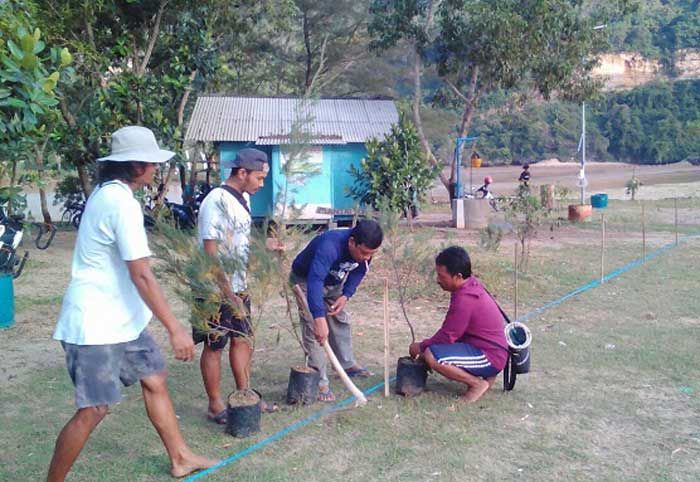 Cegah Kerusakan Konservasi Hutan, Nelayan Pacitan Tanam Ratusan Cemara