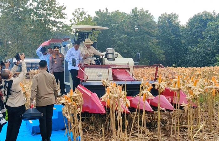 Panen Raya Jagung di Tuban, Presiden Prabowo Puji Inovasi Pangan yang Dilakukan Polri