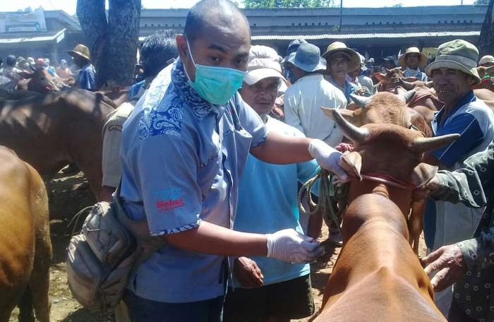 Jelang Idul Adha, DKPP Pamekasan Gelar Pengawasan dan Pemeriksaan Hewan Kurban Jelang Idul Adha, DKPP Pamekasan Gelar Pengawasan dan Pemeriksaan Hewan Kurban
