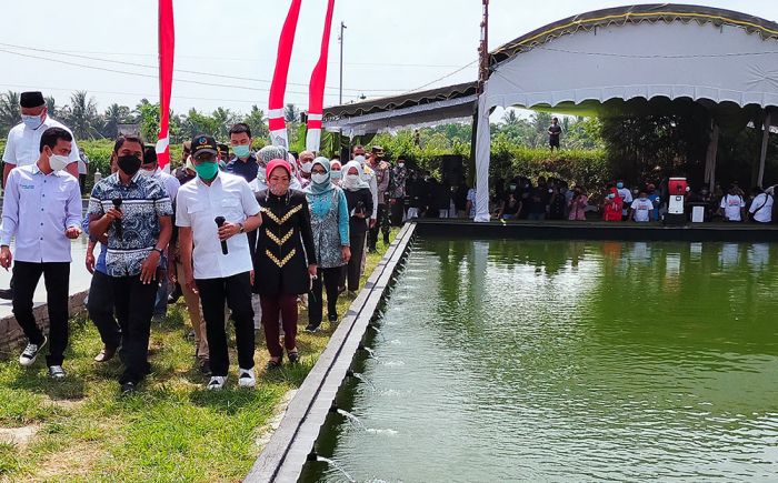 Budi Daya Ikan Koi Pakai Sistem Internet di Blitar, Mendes PDTT: Ini Satu-satunya di Indonesia Budi Daya Ikan Koi Pakai Sistem Internet di Blitar, Mendes PDTT: Ini Satu-satunya di Indonesia