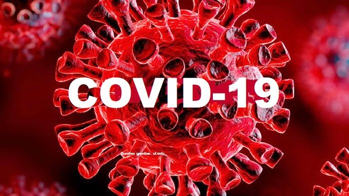 Update Covid-19 di Gresik: Positif Tambah 11 Orang, Sembuh 7 Update Covid-19 di Gresik: Positif Tambah 11 Orang, Sembuh 7