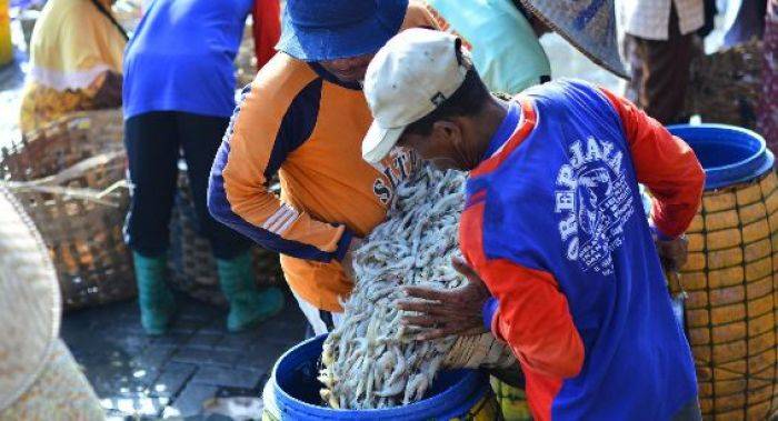 Produksi Perikanan di Lamongan Meningkat, Pemkab Rencanakan Bangun Kawasan Minapolitan