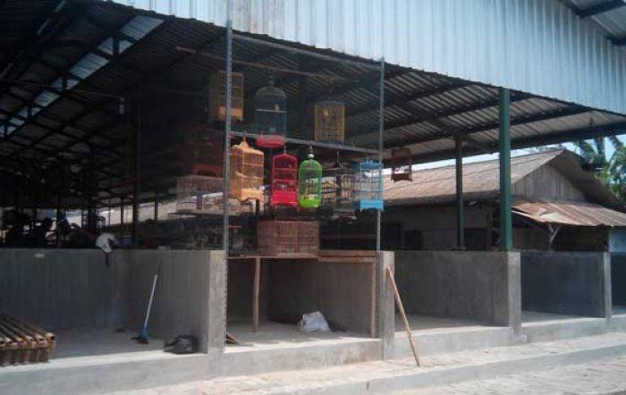 Sepi Pembeli, Pasar Burung di Tuban Ditinggal Pedagang Sepi Pembeli, Pasar Burung di Tuban Ditinggal Pedagang