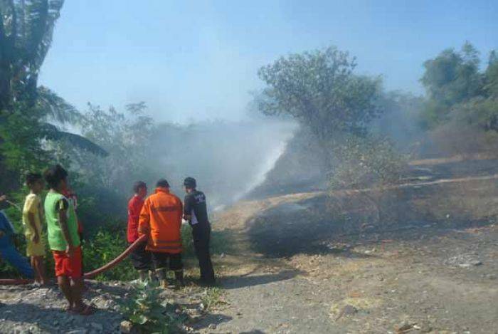 Kebakaran Enam Hektar Lahan kosong di Situbondo Nyaris Hanguskan Dua Perumahan Kebakaran Enam Hektar Lahan kosong di Situbondo Nyaris Hanguskan Dua Perumahan