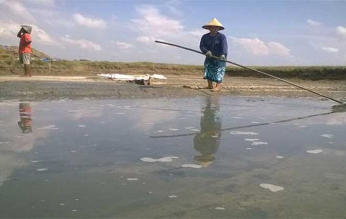 Di Pamekasan, Harga Garam di Tingkat Petani Tembus Rp 3200/Kg