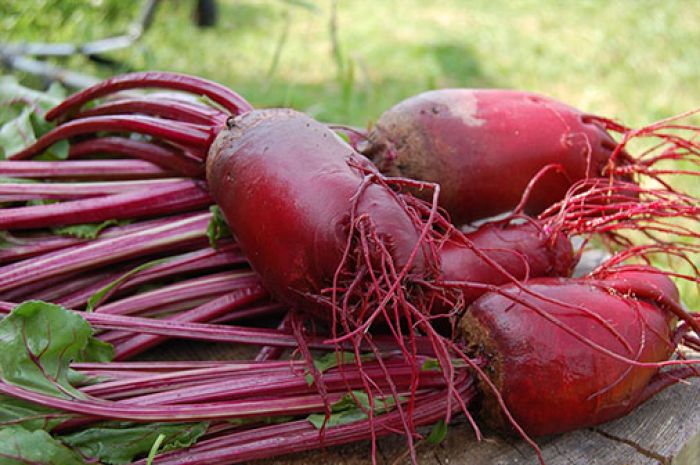 6 Makanan Terbaik untuk Menurunkan Hipertensi 6 Makanan Terbaik untuk Menurunkan Hipertensi