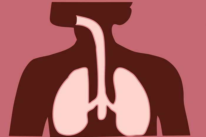 Mitos Tentang Risiko Kanker Paru-Paru yang Perlu Diketahui Mitos Tentang Risiko Kanker Paru-Paru yang Perlu Diketahui