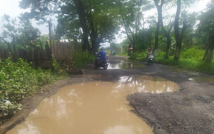 Jalan Raya Banyubiru yang Rusak Tak Kunjung Dibenahi Jalan Raya Banyubiru yang Rusak Tak Kunjung Dibenahi