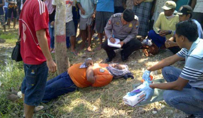 Warga Desa Prigi Tewas saat Cari Rumput Warga Desa Prigi Tewas saat Cari Rumput