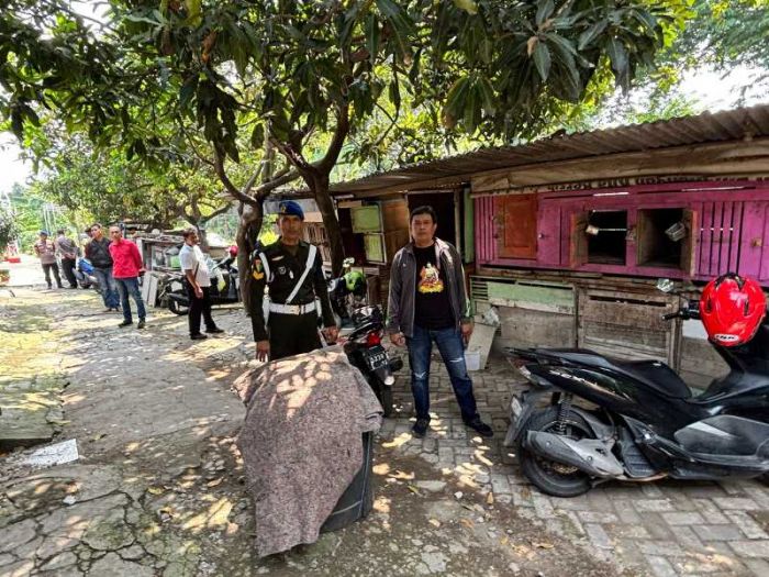 Polsek Kebomas Gresik dan Kodim Datangi Lokasi yang Diduga Tempat Sabung Ayam, Ini Hasilnya Polsek Kebomas Gresik dan Kodim Datangi Lokasi yang Diduga Tempat Sabung Ayam, Ini Hasilnya