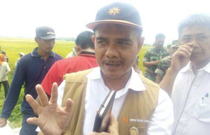 Bulog Bojonegoro Ingkar Janji, Gabah Petani tak Dibeli Bulog Bojonegoro Ingkar Janji, Gabah Petani tak Dibeli