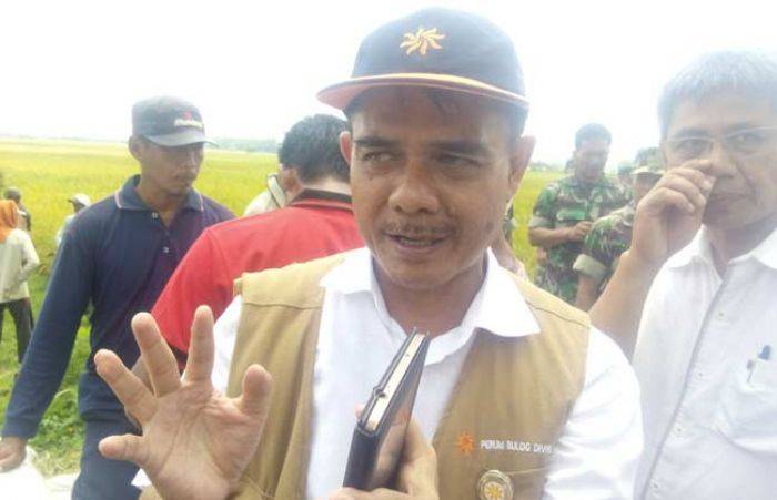 Bulog Bojonegoro Ingkar Janji, Gabah Petani tak Dibeli