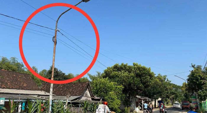 Kabel Internet Semrawut di Tiang PJU, Pemkab Tuban Siap Tindak Lanjuti Keluhan Warga