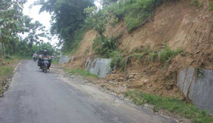 Jalan Tuban - Bojonegoro Lewat Senori Rawan Longsor