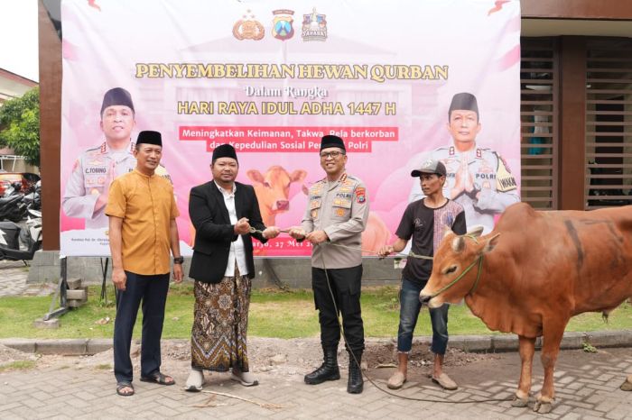 Polresta Sidoarjo Salurkan 100 Hewan Kurban pada Iduladha 1447 Hijriah