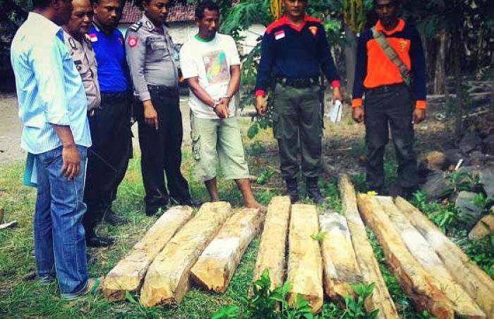 Curi Kayu, Dua Warga Mojoduwur Jombang Ditangkap Polisi Curi Kayu, Dua Warga Mojoduwur Jombang Ditangkap Polisi