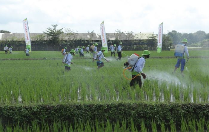 Kawal 13.099 Hektare Lahan di Indonesia, Petrokimia Grup Lakukan Pengendalian Hama Kawal 13.099 Hektare Lahan di Indonesia, Petrokimia Grup Lakukan Pengendalian Hama