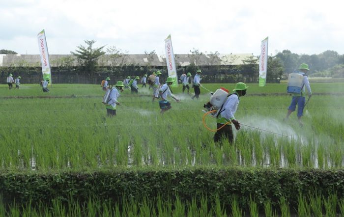 Kawal 13.099 Hektare Lahan di Indonesia, Petrokimia Grup Lakukan Pengendalian Hama