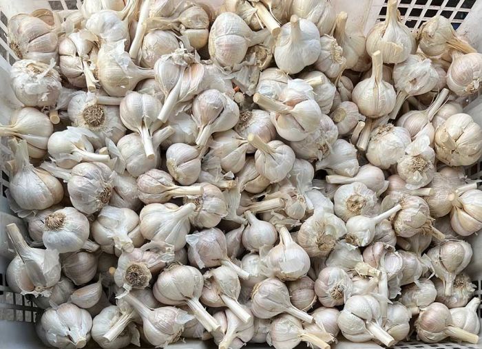 Harga Sembako Jatim Selasa 24 Juni 2025: Telur Rp39.130/kg, Beras Medium Rp12.676/kg