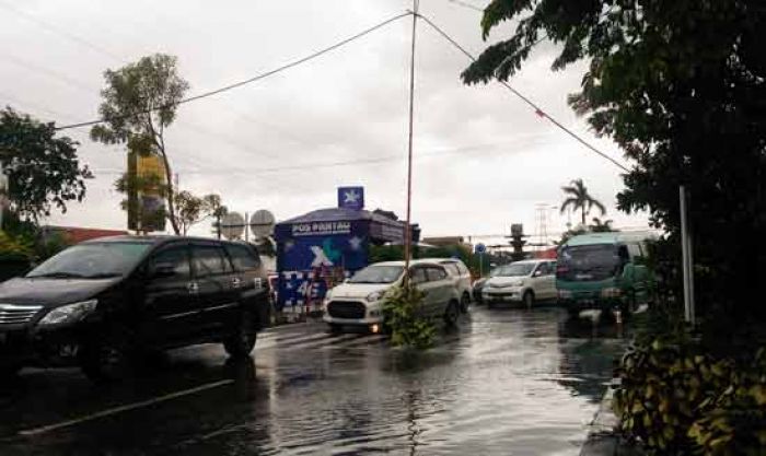 Hujan Lebat Disertai Angin, Sidoarjo Banjir, Pohon dan Tiang Milik Telkom Roboh