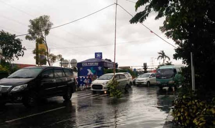 Hujan Lebat Disertai Angin, Sidoarjo Banjir, Pohon dan Tiang Milik Telkom Roboh Hujan Lebat Disertai Angin, Sidoarjo Banjir, Pohon dan Tiang Milik Telkom Roboh