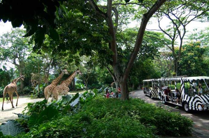 Singapura Raih Penghargaan Destinasi Ramah Muslim Singapura Raih Penghargaan Destinasi Ramah Muslim