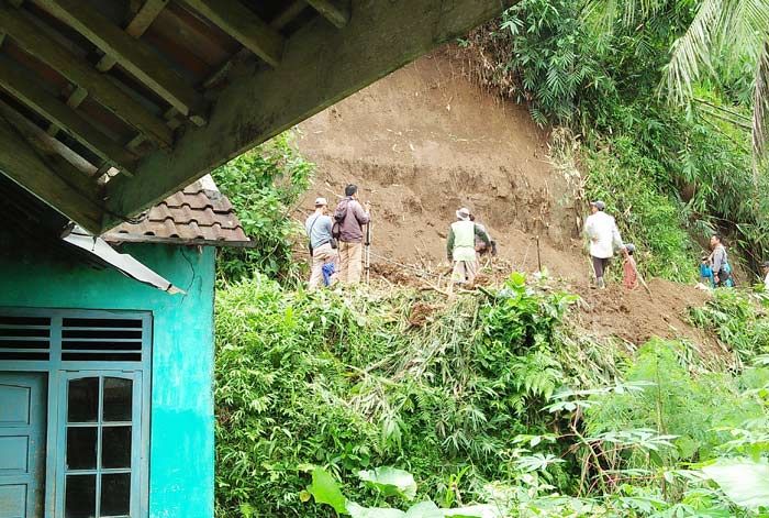 Tebing Longsor di Gandusari Blitar Ancam Rumah dan Sawah Warga Tebing Longsor di Gandusari Blitar Ancam Rumah dan Sawah Warga