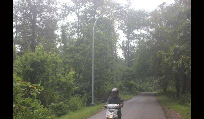 PJU Mati Tak Kunjung Diperbaiki, Kinerja Dinas PU Tuban Dikeluhkan PJU Mati Tak Kunjung Diperbaiki, Kinerja Dinas PU Tuban Dikeluhkan