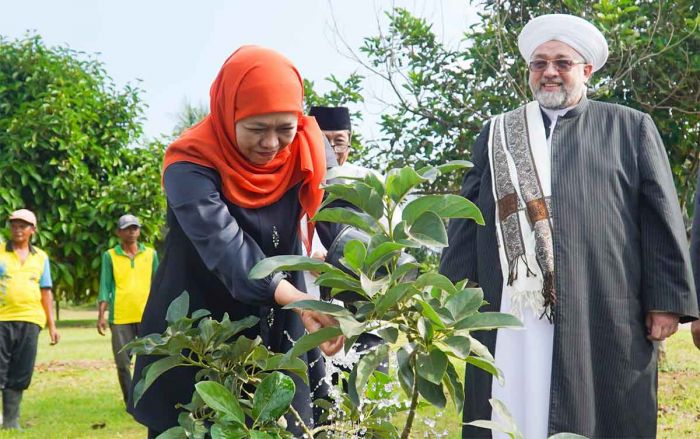 Khofifah Kenalkan Kekayaan Agrikultur Jatim ke Syekh Afeefuddin Al-Jailani Khofifah Kenalkan Kekayaan Agrikultur Jatim ke Syekh Afeefuddin Al-Jailani