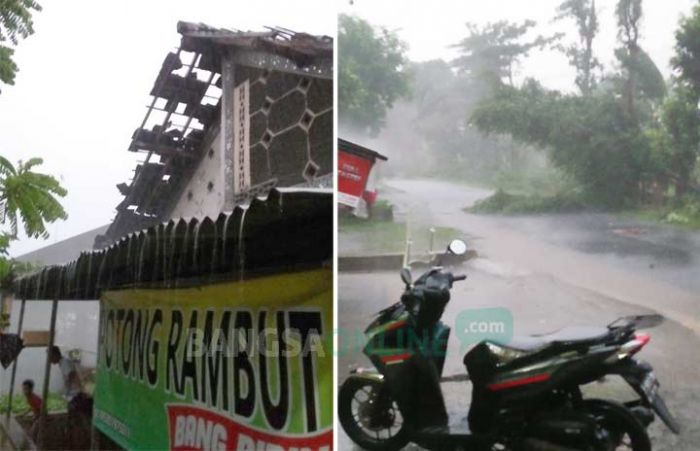 Puting Beliung di Gudo Jombang, Genting Rumah Warga Porak Poranda, Sejumlah Pohon Tumbang Puting Beliung di Gudo Jombang, Genting Rumah Warga Porak Poranda, Sejumlah Pohon Tumbang