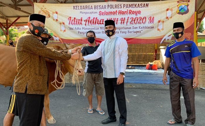 Polres Pamekasan Kurban 20 Ekor Sapi dan 10 Ekor Kambing