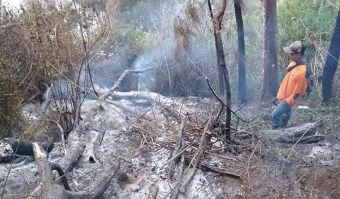 Hutan Gunung Arjuno Kebakaran, 12 Pendaki Asal Mojokerto Terjebak di Panderman Hutan Gunung Arjuno Kebakaran, 12 Pendaki Asal Mojokerto Terjebak di Panderman