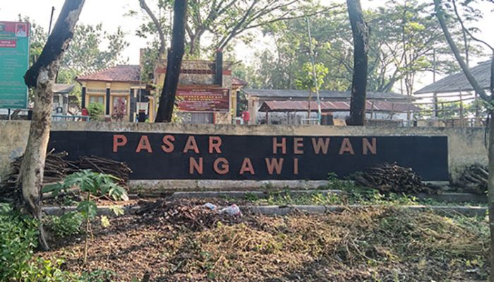 Antisipasi Penyebaran PMK Menjelang Iduladha, Pasar Hewan Ngawi Ditutup Antisipasi Penyebaran PMK Menjelang Iduladha, Pasar Hewan Ngawi Ditutup
