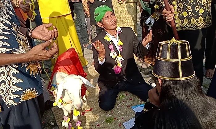 Ketua MUI Balongpanggang Mengaku Tertipu Undangan Pernikahan Manusia dengan Kambing Ketua MUI Balongpanggang Mengaku Tertipu Undangan Pernikahan Manusia dengan Kambing
