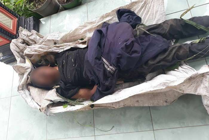 Terjatuh dari Pohon Setinggi 15 Meter, Pencari Petai Warga Bendorejo Ditemukan Tewas Terjatuh dari Pohon Setinggi 15 Meter, Pencari Petai Warga Bendorejo Ditemukan Tewas