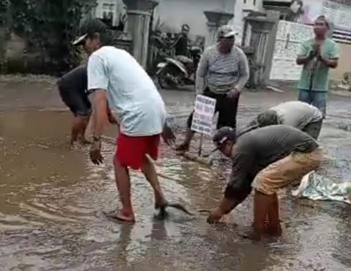 Protes Jalan Rusak, Warga Desa Ngembul Blitar Lepas Puluhan Kilogram Lele ke Kubangan Air