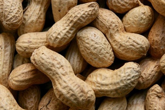 Efek Kacang Tanah Bagi Kesehatan Jantung Efek Kacang Tanah Bagi Kesehatan Jantung