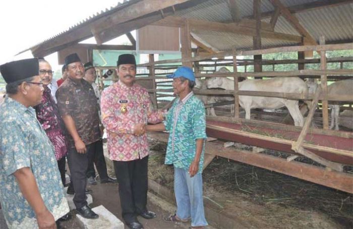 Wabup Gresik Serahkan Bantuan 40 Ekor Kambing Wabup Gresik Serahkan Bantuan 40 Ekor Kambing