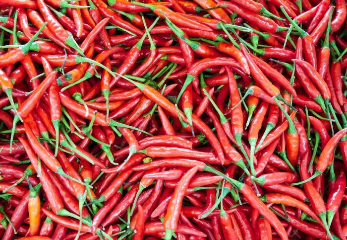 Harga Sembako Awal Tahun 2025 Jatim, Cabe Sekilo Tembus Rp60 Ribu Harga Sembako Awal Tahun 2025 Jatim, Cabe Sekilo Tembus Rp60 Ribu