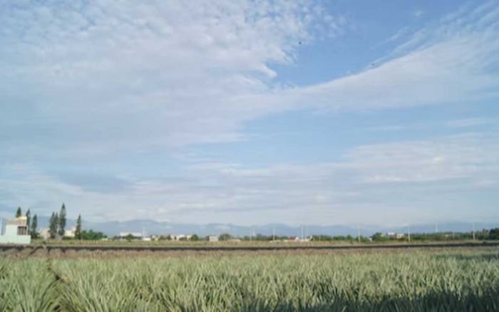 Wilayah Malang Cenderung Berawan, pada 30 Januari 2024 Menurut BMKG Wilayah Malang Cenderung Berawan, pada 30 Januari 2024 Menurut BMKG